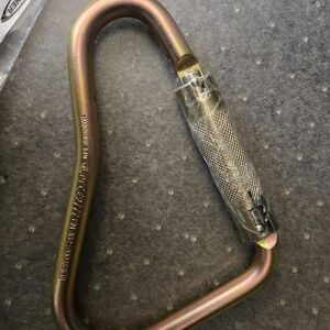 Werner Gold Carabiner